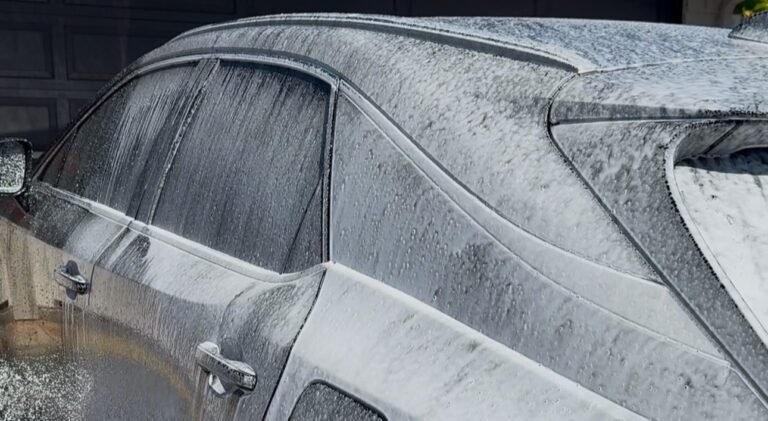 Read more about the article Car Detailing in Honolulu & Oahu